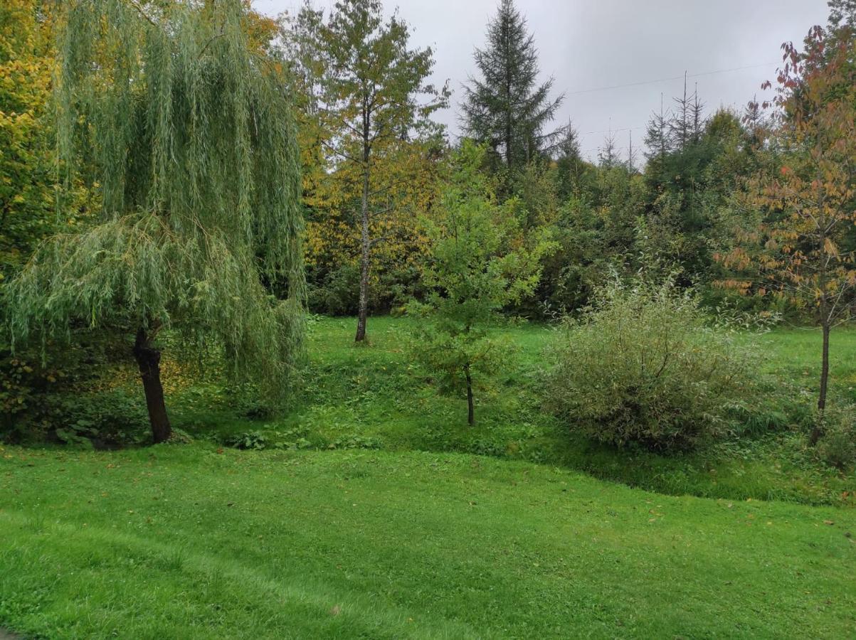 Villa Za Potokiem Solina  Exterior foto