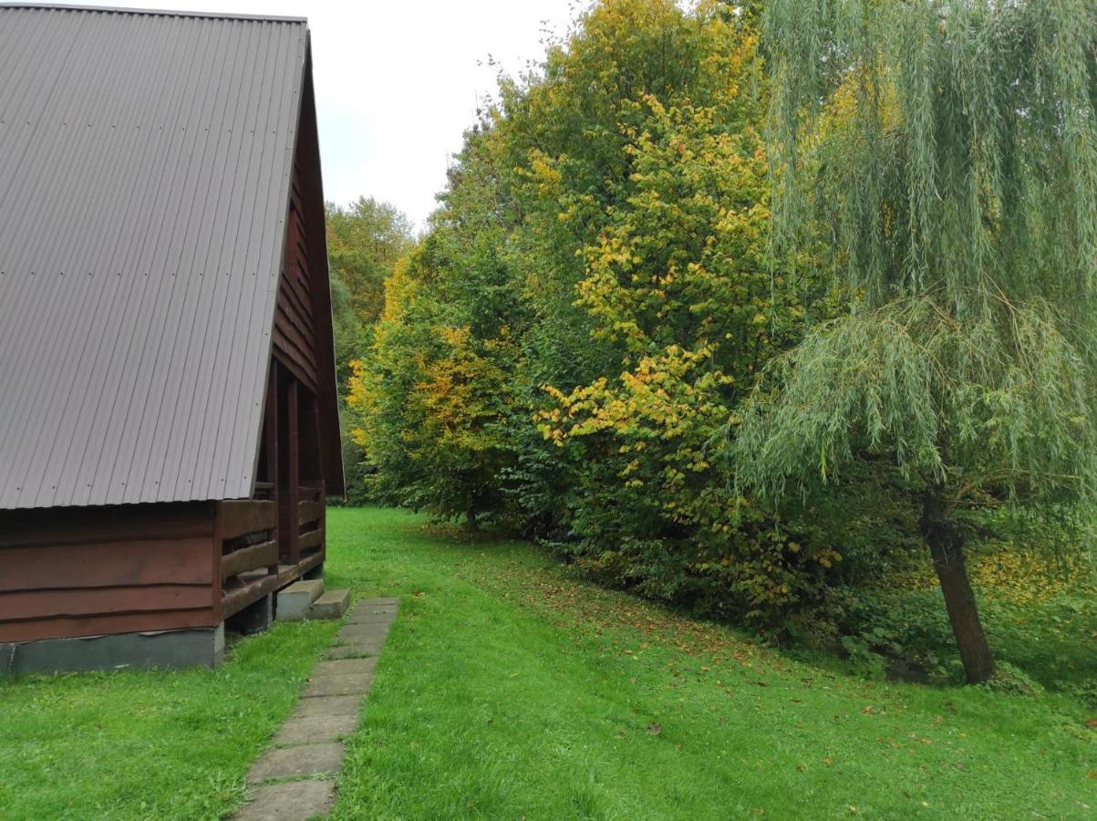Villa Za Potokiem Solina  Exterior foto