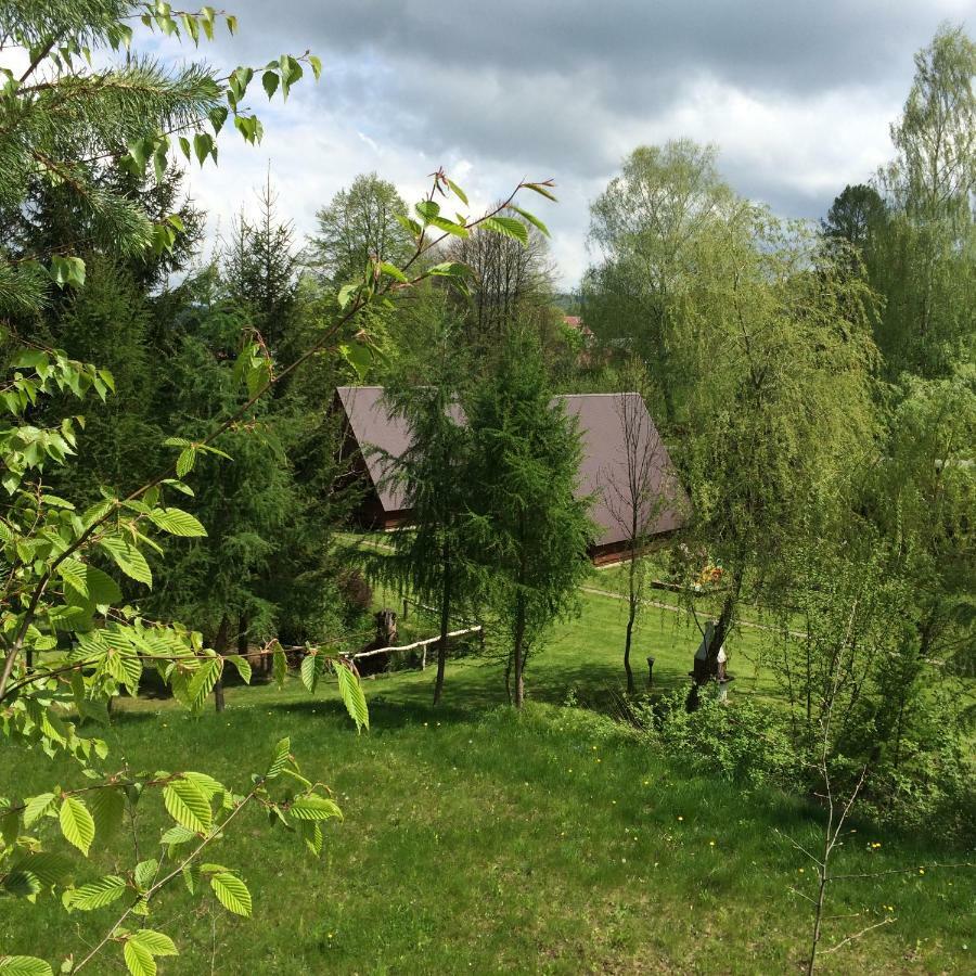 Villa Za Potokiem Solina  Exterior foto